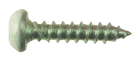 Product of Ap Products 012-Q50 8 X 2 Screw