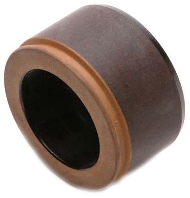 Raybestos Brakes Dp85020 Caliper Piston||||85||r42dp85020||1914534