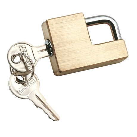 Product of Reese 7005300 Trailer Coupler Lock