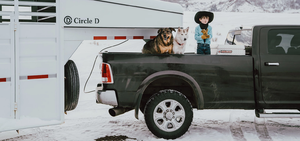 B&W Trailer Hitches Rvc3006 Fifth Wheel Trailer Hitch Head||rv Ls.Png||86||b94rvc3006||1605123