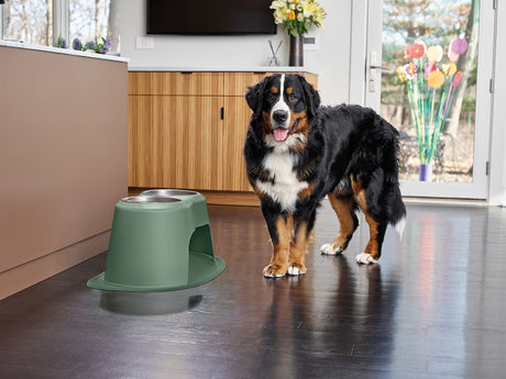 Weathertech (Usa) Dhc3208hghg Pet Dish||dhc3208hghg_Pfs_Kitchen_Clarke_Doublehigh_Green.Jpg||86||w24hc3208hghg||1505799