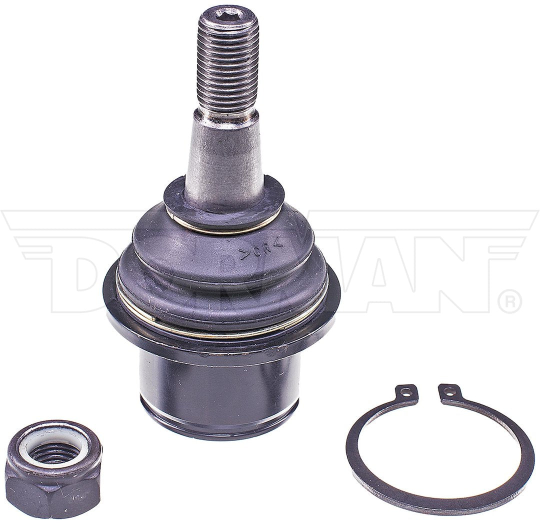 Dorman Mas Select Chassis Bj82285 Ball Joint||bj82285-007.Jpg||85||d18bj82285||1716398