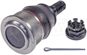 Dorman Chassis Bj59255xl Ball Joint||bj59255xl-007.Jpg||85||d18bj59255xl||1230365