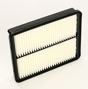 Product of Wix Filters 49450 OEM Disposable Air Filter 