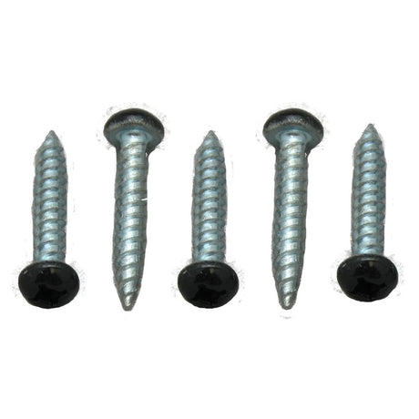 Ap Products 012-Q1000bl 8 X 1 Screw||012-Q1000bl1.Jpg||85||a1w1000bl81||879125
