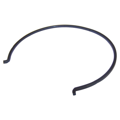 Crown Automotive J0939293 Manual Trans Synchronizer Ring Spring||j0939293.Jpg||85||c1yj0939293||1772942