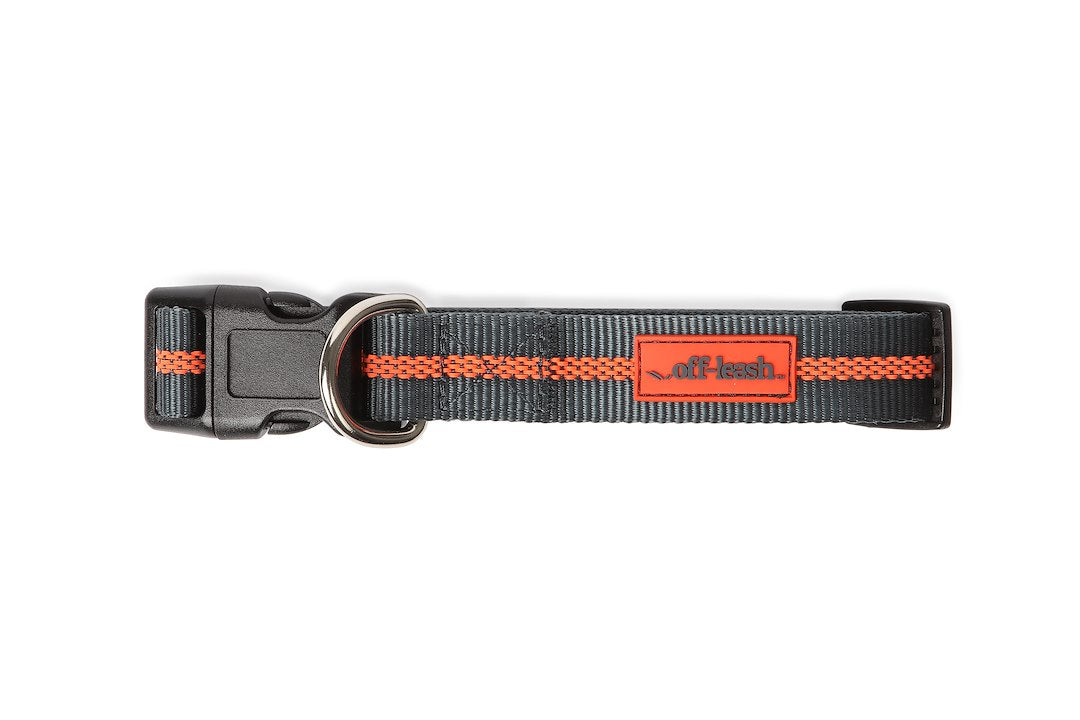 Dexas International Pwc020-432-2027 Pet Collar||mediumcollar.Jpg||85||d7qpwc0204322||858836