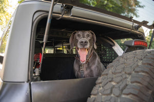 Dv8 Offroad Mpbr-10 Pet Barrier||2021-2024-Ford-Bronco-Dog-Barrier-With-Dog-4.Jpg||95||dv8mpbr10||1628188
