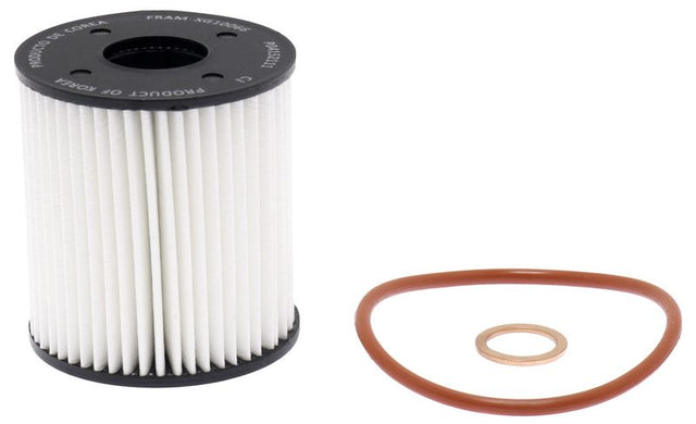 Fram Filter Xg10066 Oil Filter||xg10066.Jpg||85||f24xg10066||2135934