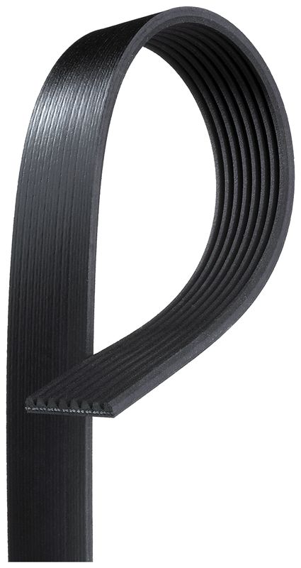 Product of Gates K080810 Serpentine Belt
