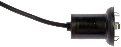 Dorman (Oe Solutions) 85805 Courtesy Light Socket||85805-003.Jpg||87||d1885805||1369875