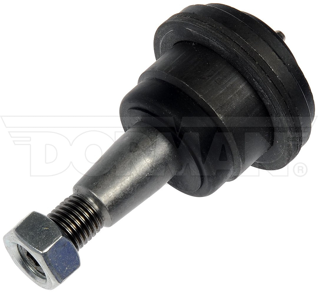 Dorman Chassis Bj81166pr Ball Joint||539-008-007.Jpg||85||d18bj81166pr||1117768