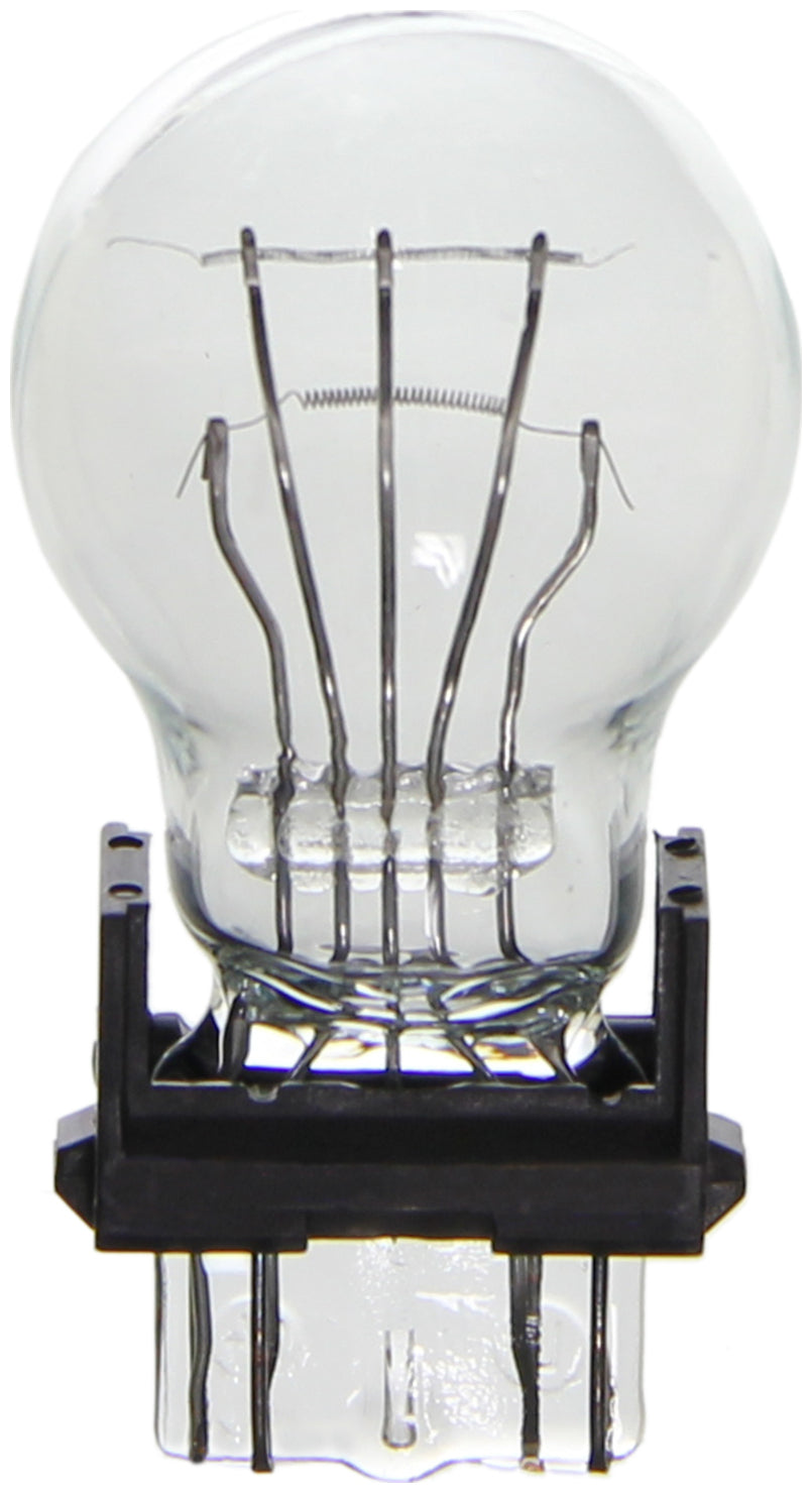 Wagner Lighting Bp3157 Brake Light Bulb||bp3157_P04_Sid.Jpg||91||w31bp3157||1353436