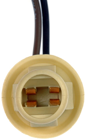 Dorman (Oe Solutions) 85861 Side Marker Light Socket||85861-001.Jpg||85||d1885861||1224771