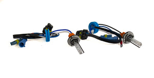 Race Sport Lighting H11b-5k-Sb-Rb Headlight Bulb||h11b-5k-Sb-Rb_3.Jpg||88||rslh11b5ksbrb||971804