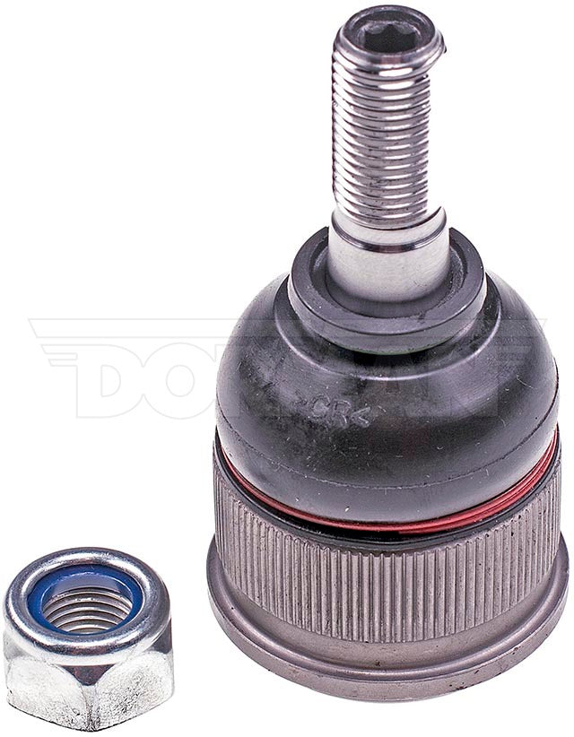 Dorman Mas Select Chassis Bj65066 Ball Joint||bj65066.Jpg||85||d18bj65066||1362623