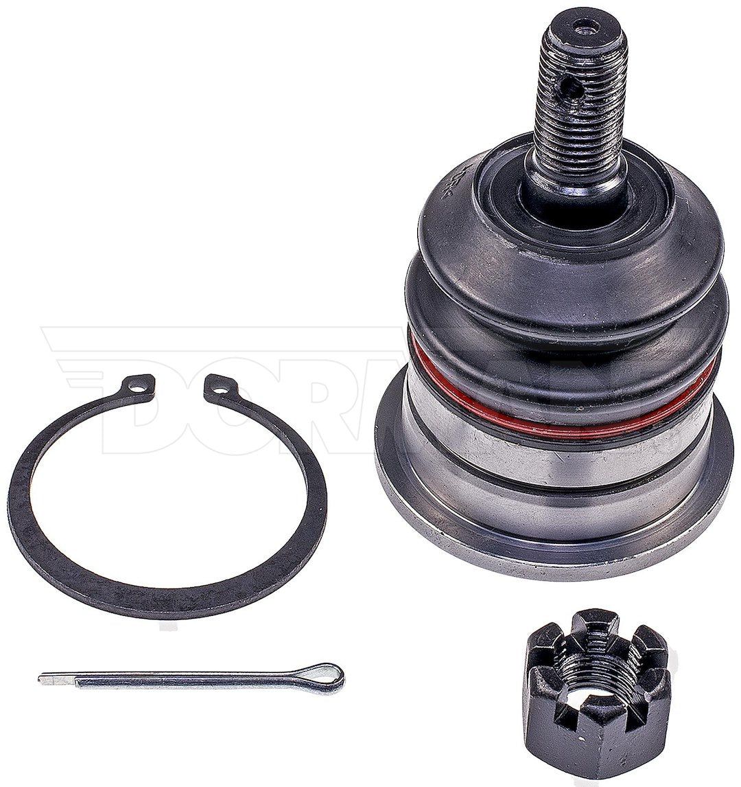 Dorman Chassis Bj69006xl Ball Joint||bj69006xl-007.Jpg||85||d18bj69006xl||1063141
