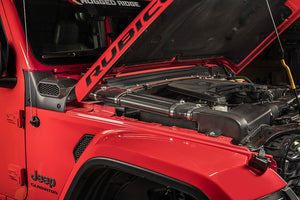 Product of Rugged Ridge 17756.31 Air Intake Snorkel