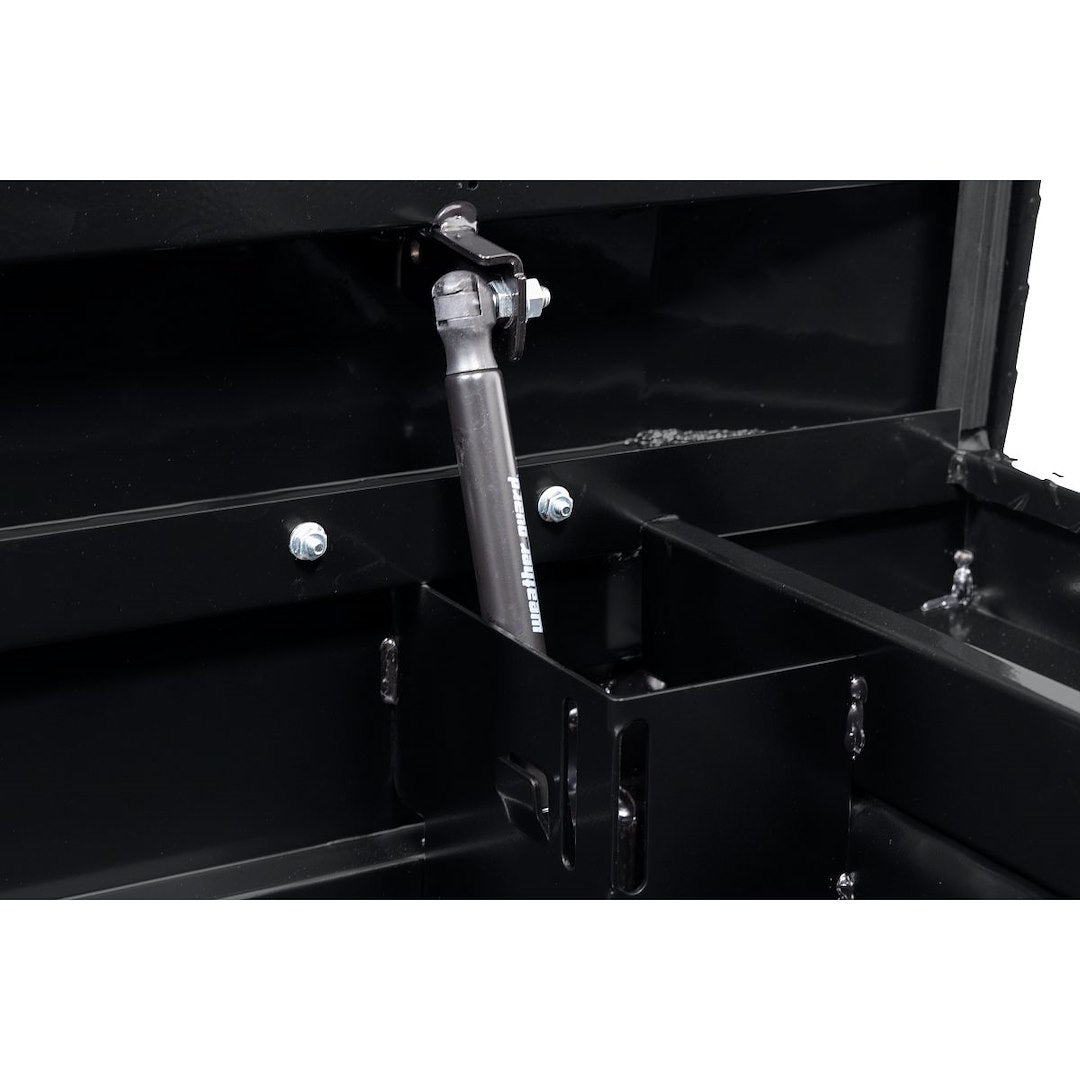 Product of Weather Guard (Werner) 121-5-04 Low Profile Toolbox 