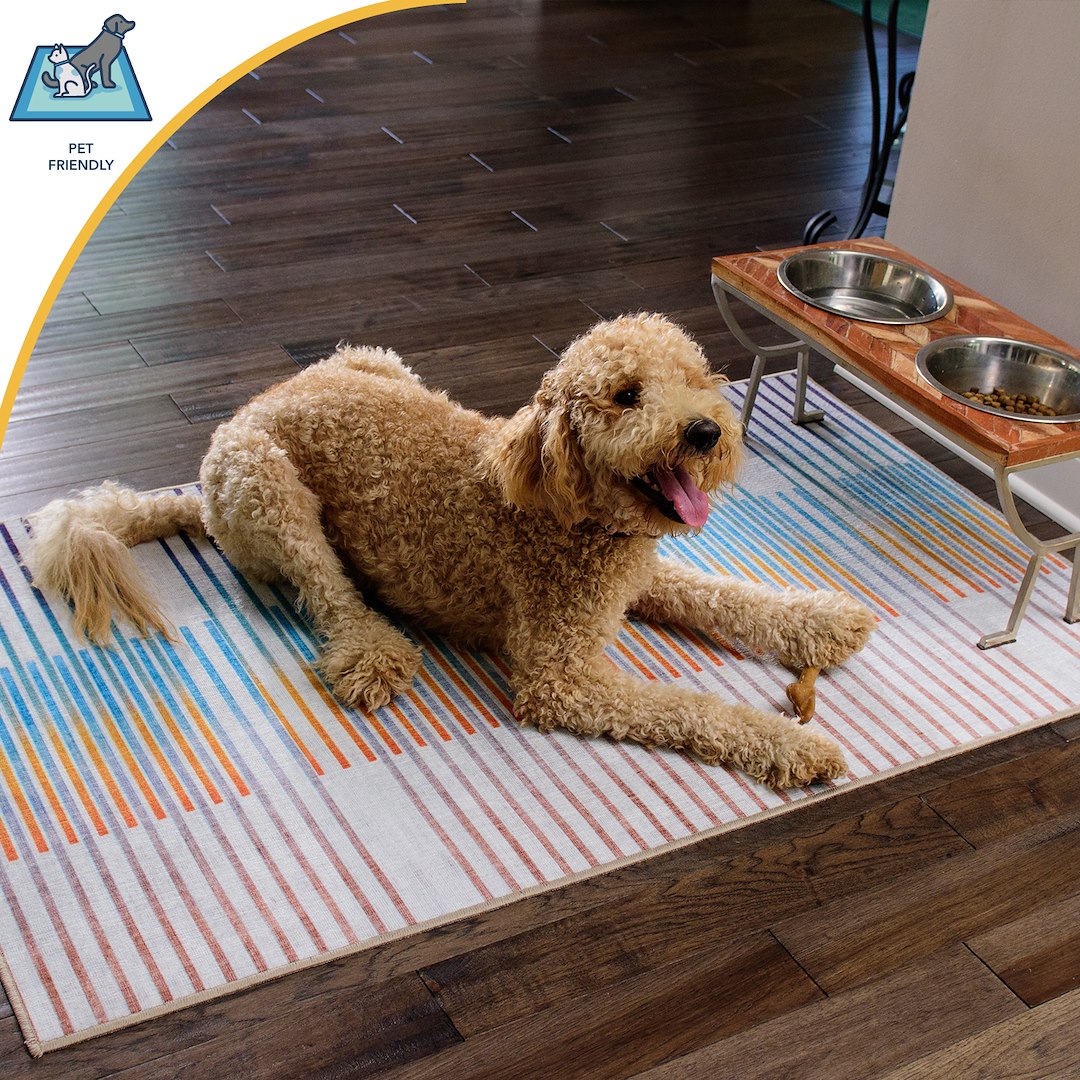 Product of Crystal Art Gallery 340555WEB Multicolor Carpet 