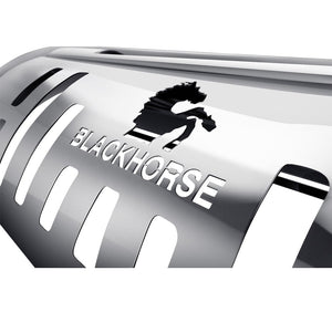 Product of Black Horse Offroad BE-TOTUS Bull Bar  with skid plate 