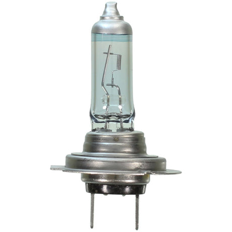 Wagner Lighting Bph7tvx2 Headlight Bulb||bph7tvx2.Jpg||85||w31bph7tvx2||1456349