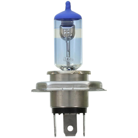 Wagner Lighting Bp9003blx2 Headlight Bulb||bp9003blx2.Jpg||85||w31bp9003blx2||1456064