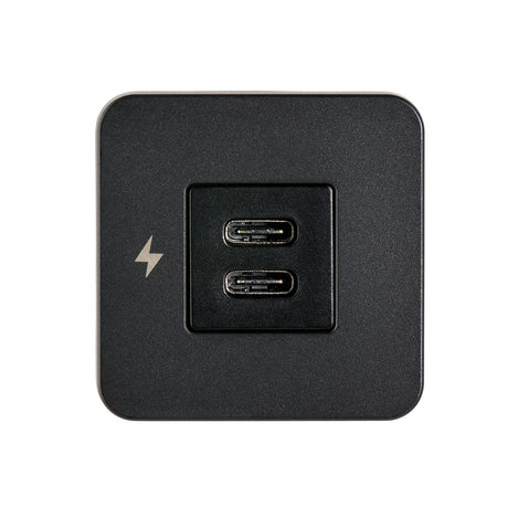 Scanstrut Sc-Tile-20 Usb Outlet||sc-Tile-20 Dual Usb-C Front.Jpg||86||scasctile20||1744845