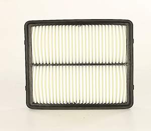 Product of Wix Filters 49250 OEM Disposable Air Filter 