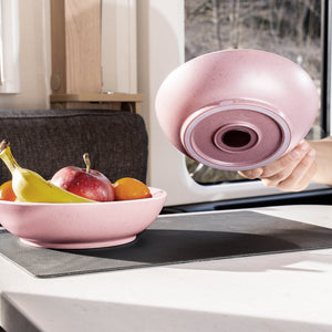 Silwy Magnetic Sybr-Kgs-11-R Dish Set||sybr-Kgs-11-R_2.Jpg||87||swysybrkgs11r||2260860