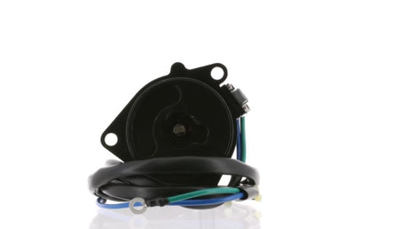 Arco Marine 6263 Outboard Tilt And Trim Motor||6263_1.Jpg||86||a4r6263||1372752