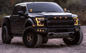 Product of Rigid Lighting 36205 Driving/ Fog Light 