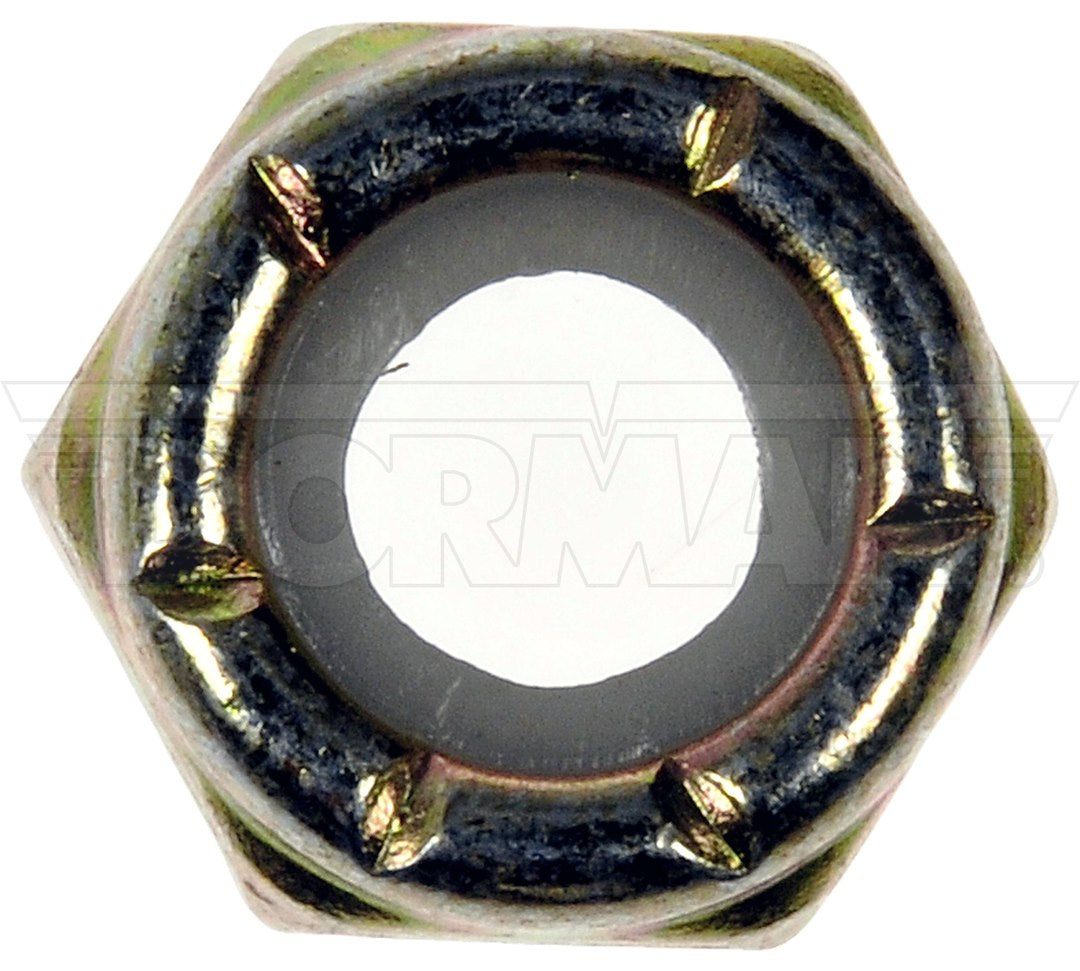 Dorman (Oe Solutions) 784-756d Nut||784-756d-001.Jpg||86||d18784756d||861562