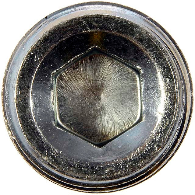 Dorman (Oe Solutions) 02473 Fitting Plug/ Fitting Cap||02473_1.Jpg||86||d1802473||1109055