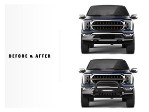Product of Armordillo 8705513 Bull Bar  with skid plate 
