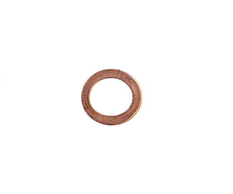 Raybestos Brakes G1244 Banjo Fitting Washer||||85||r42g1244||1914605