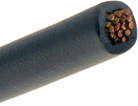 Dorman (Oe Solutions) 85778 Primary Wire||85778-007.Jpg||85||d1885778||1323432