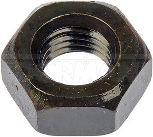 Dorman (Oe Solutions) 982-011d Nut||982-011d-007.Jpg||85||d18982011d||913325