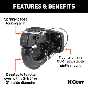 Curt 48210 Pintle Hook||48210_3008x1990_Fa.Jpg||86||c9348210||1096655