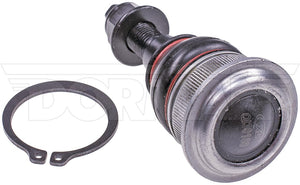 Dorman Chassis Bj65685xl Ball Joint||||87||d18bj65685xl||2014062