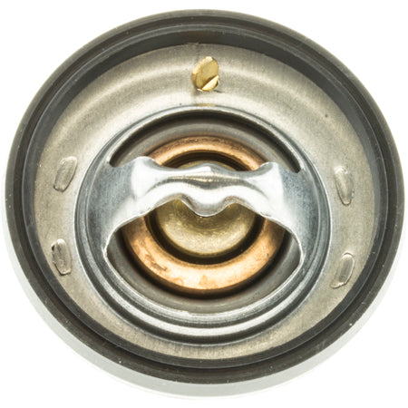 Motorad/ Cst 7656-195 Thermostat||7656-195_2.Jpg||87||c977656195||1102753