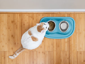 Weathertech (Usa) Dhc1604blbl Pet Dish||dhc1604blbl_Pfs_Cat_With_High_Feeding_System_7.Jpg||86||w24hc1604blbl||1505769