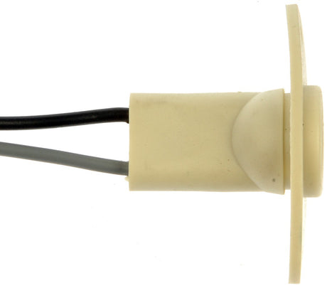 Dorman (Oe Solutions) 85889 License Plate Light Socket||85889-003.Jpg||87||d1885889||882741