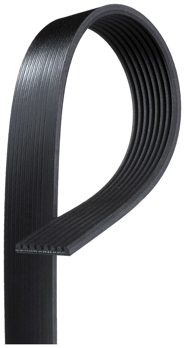 Product of Gates K080730 Serpentine Belt