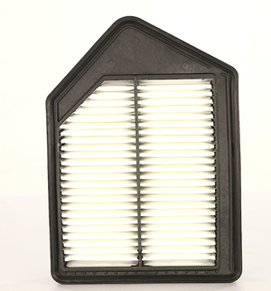 Product of Wix Filters 49230 OEM Disposable Air Filter 