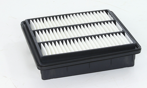 Product of Wix Filters 49052 OEM Disposable Air Filter 