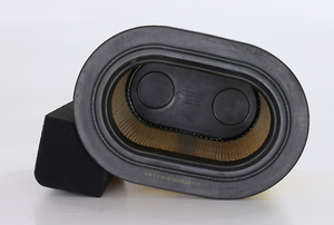 Product of Wix Filters WA10679 OEM Disposable Air Filter 