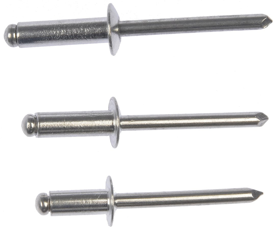 Dorman (Oe Solutions) 961-030 Rivet||961-030-005.Jpg||90||d18961030||1255743