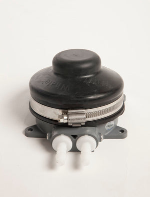 Product of Whale Gp4634b Fresh Water Pump