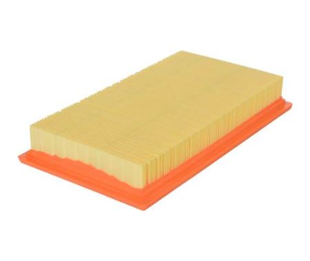 Product of Fram Filter CA10242 EXTRA GUARD ® OEM Disposable Air Filter 